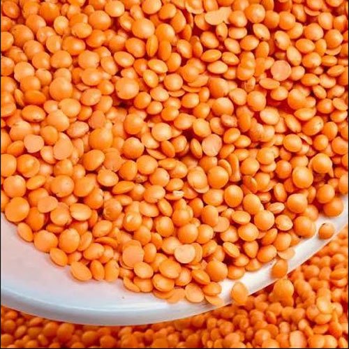 MASOOR DAL (RED)